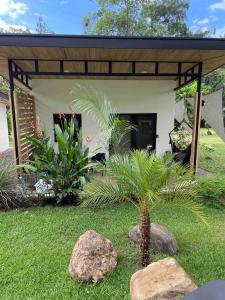 una casa con una palmera en un patio en Casa Buena Karma, en Ojochal
