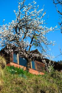 Giardino di Aarya homes