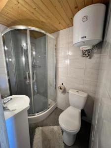 a bathroom with a shower and a toilet and a sink at Siedlik Agroturystyka - spokojne miejsce dla Ciebie i Twojej rodziny in Lidzbark