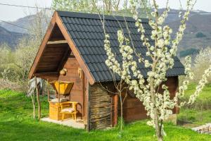 uma pequena cabina de madeira com uma mesa e uma cadeira em frente em Djurdjevina Family Farm em Kolašin