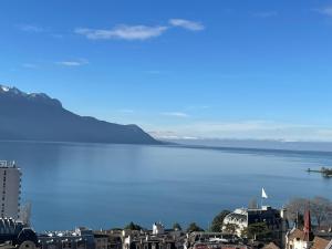 Blick auf einen großen Wasserkörper in der Unterkunft Appartement vue lac Montreux in Montreux