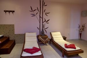 Lázně a/nebo wellness v ubytování Familly Art Hotel Nirvana