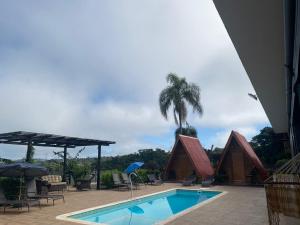 a swimming pool with a palm tree and a house at Chácara Recanto das Aves in Pilar do Sul