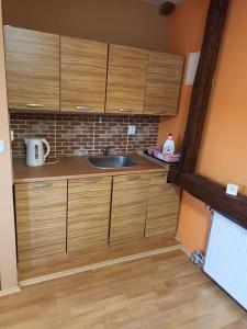 a kitchen with wooden cabinets and a sink at HospůdkaU Straků in Dyjákovice