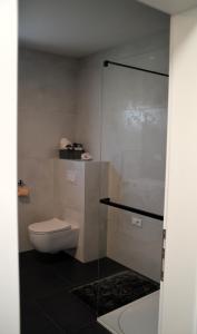 a bathroom with a toilet and a glass shower at UrbanApartment5 in Čakovec