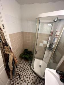 La salle de bains est pourvue d'une douche, de toilettes et d'un lavabo. dans l'établissement Koselig leilighet på Nordstrand/Lambertseter, Oslo, à Oslo