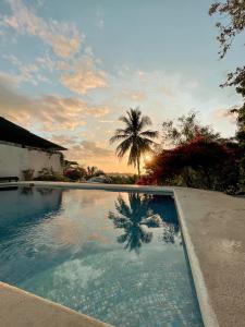 a swimming pool with a palm tree in the background at Hotel Sol y Mar in Santa Catalina