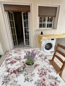 TV a/nebo společenská místnost v ubytování Qqueen House