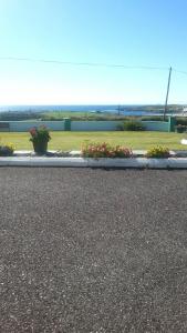 a street with some plants and flowers on it at Beach View Bed & Breakfast in Allihies