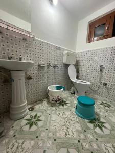 La salle de bains est pourvue d'un lavabo et de toilettes. dans l'établissement Pine Brooke Pahalgam, à Pahalgām