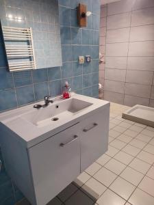 a bathroom with a white sink and a shower at Chambre Haut in Zilling