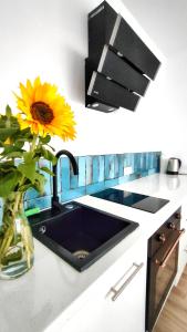 查爾茲克維的住宿－APARTAMENTY Charzykowy，厨房配有黑色水槽和带向日葵的花瓶