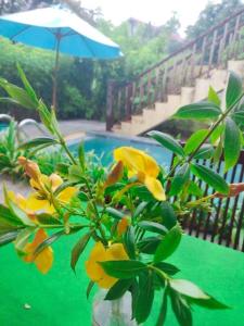 un jarrón con flores amarillas en una mesa con piscina en Lama Beach Villa en An Bàn (2)