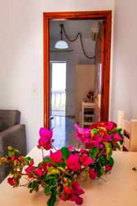 Fotografie z fotogalerie ubytování Irene Apartments v destinaci Karpathos