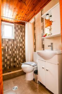 La salle de bains est pourvue de toilettes et d'un lavabo. dans l'établissement Irene Apartments, à Karpathos
