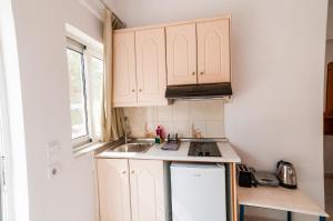 Kuchyň nebo kuchyňský kout v ubytování Irene Apartments