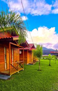 a wooden house with a palm tree next to it at Pousada Santa Terezinha in Urubici +55 photos