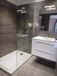 a bathroom with a shower and a sink at Hôtel Casa Mea in Bastia