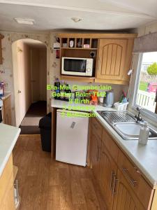 Η κουζίνα ή μικρή κουζίνα στο Golden Palm 8 Birth Caravan TM2