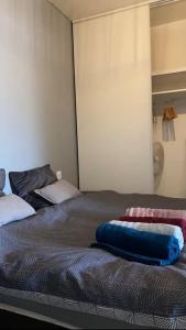Bett mit blauem Kissen auf einem Zimmer in der Unterkunft Agréable T2 proche Toulouse in Léguevin