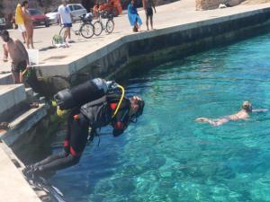 una persona en una piscina con un perro en el agua en CAMERA CONIGLIO A LAMPEDUSA en Lampedusa