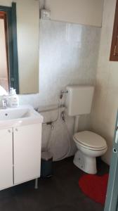 a bathroom with a toilet and a sink and a mirror at agriturismo il riccio in Cedegolo