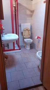 a bathroom with a toilet and a sink at agriturismo il riccio in Cedegolo