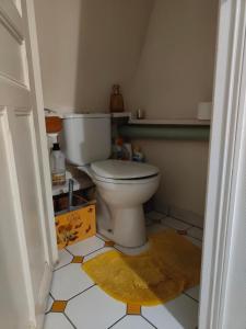 a bathroom with a toilet in a room at Rez de chaussée et 1er étage et jardin dans Maison individuelle in Enghien-les-Bains