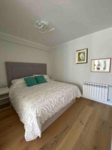 a bedroom with a bed with two green pillows at preciosa casa,garage wifi 4 personas in Vigo