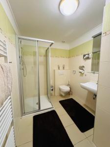 y baño con ducha, aseo y lavamanos. en Penzion Myslivna, en Velký Újezd