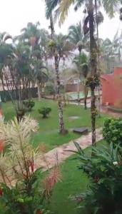 ウバトゥバにあるHotel Lagoinhaのヤシの木が茂る庭の景色