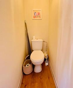 a bathroom with a white toilet in a room at Studio Liberté en centre-ville in Bourgoin