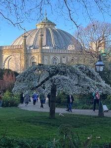 people walking in a park in front of a building at Cozymodernroom in Brighton & Hove