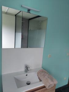 Baðherbergi á Vakantiewoning Nieuwdonk