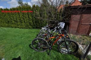 a group of bikes parked in the grass at Apartamenty Sowiogórskie in Pieszyce