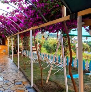 a row of chairs under a pergola with purple flowers at Hotel Sirena in Vlorë