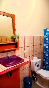 a bathroom with a sink and a toilet and a mirror at Casa Reyna in Moyogalpa