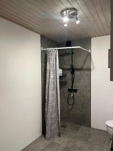 Apartment in Billund في بيلوند: حمام مع ستارة دش ومغسلة
