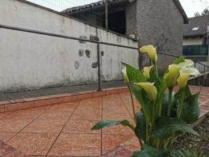 Fotografie z fotogalerie ubytování La casa nel borgo v destinaci Cavaso del Tomba