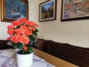 Fotografie z fotogalerie ubytování La casa nel borgo v destinaci Cavaso del Tomba