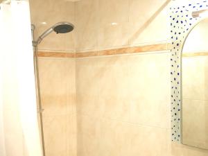 a shower with a shower head in a bathroom at Apartamento en la Catedral in Burgos