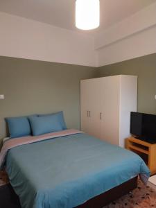 a bedroom with a blue bed and a tv at Vasiliki's place in Karditsa