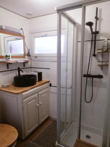 eine Dusche mit Glastür im Bad in der Unterkunft La Maisonnette de Suzette in Port-sur-Saône