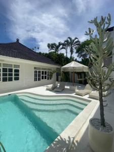 a swimming pool with a palm tree next to a house at Villa EL NIS - LEGIAN - 4 Bedroom - 4 Bathroom - Luxury in Legian