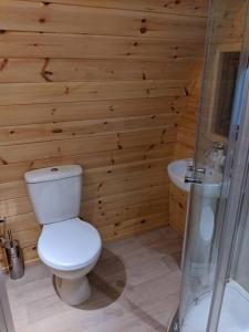 a bathroom with a white toilet and a sink at Killynick Marina Glamping Rose in Fivemiletown