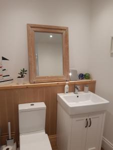 a bathroom with a white toilet and a mirror at Seasalt Loft in Barmouth