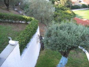 Um jardim em Villa Frideriki