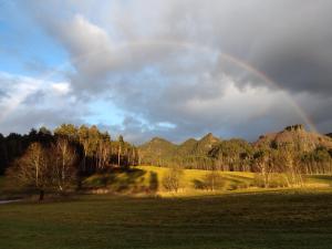 un arco iris en el cielo sobre un campo en Pension u Havrana, en Jetřichovice