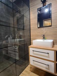y baño con lavabo y ducha. en NATURA apartament en Malbork