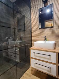 a bathroom with a sink and a shower at NATURA apartament in Malbork +8 photos